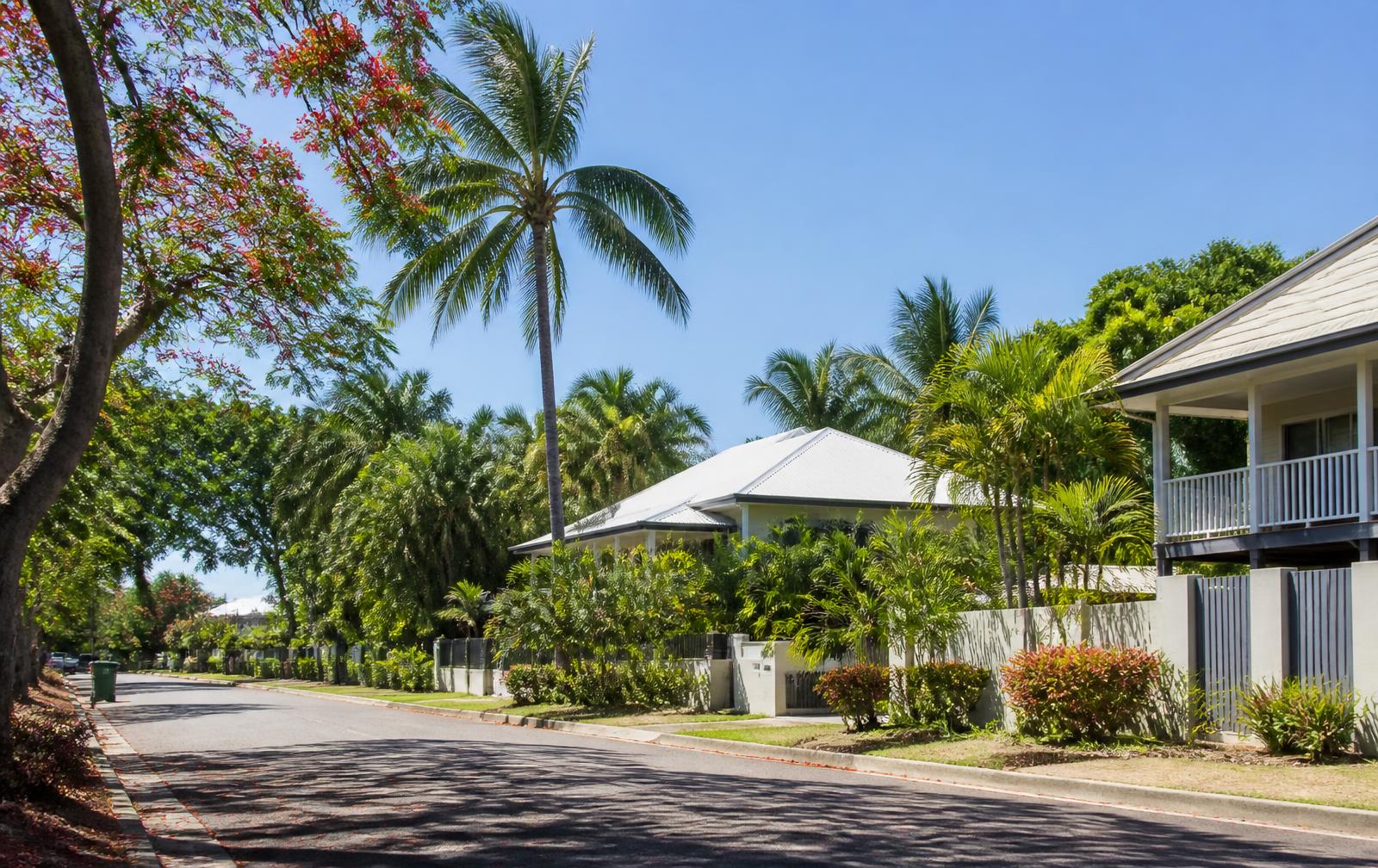 An elevated Darwin home surrounded by tropical palms under bright sunlight.